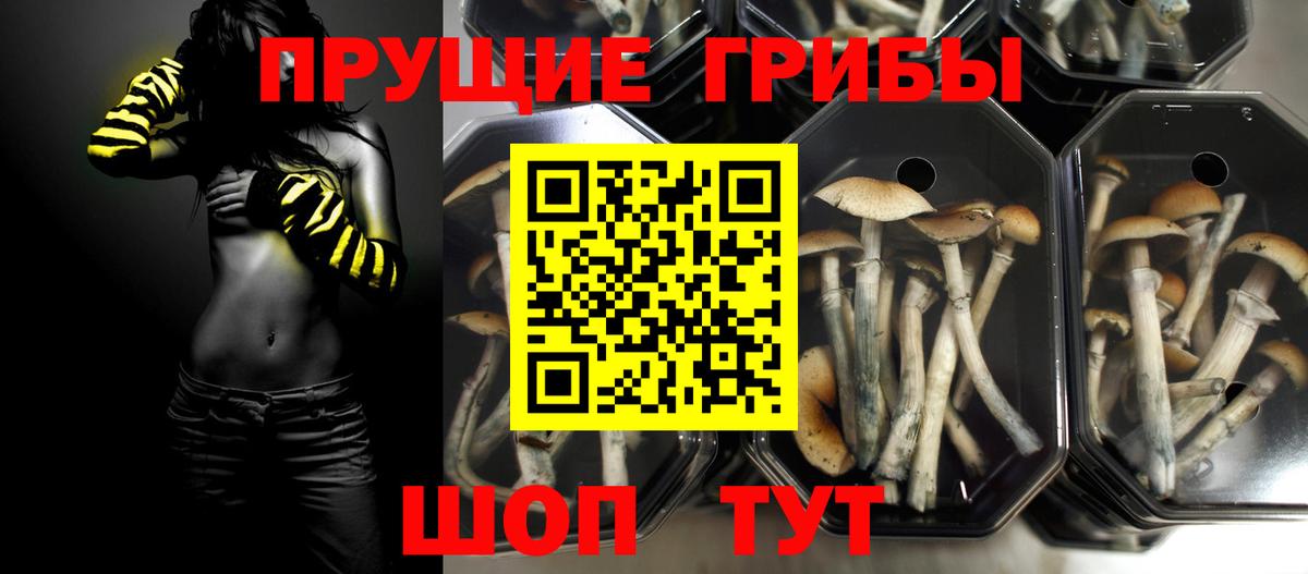 Галлюциногенные грибы мухоморы Заринск